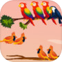 Icon of Bird sorting brain puzzle