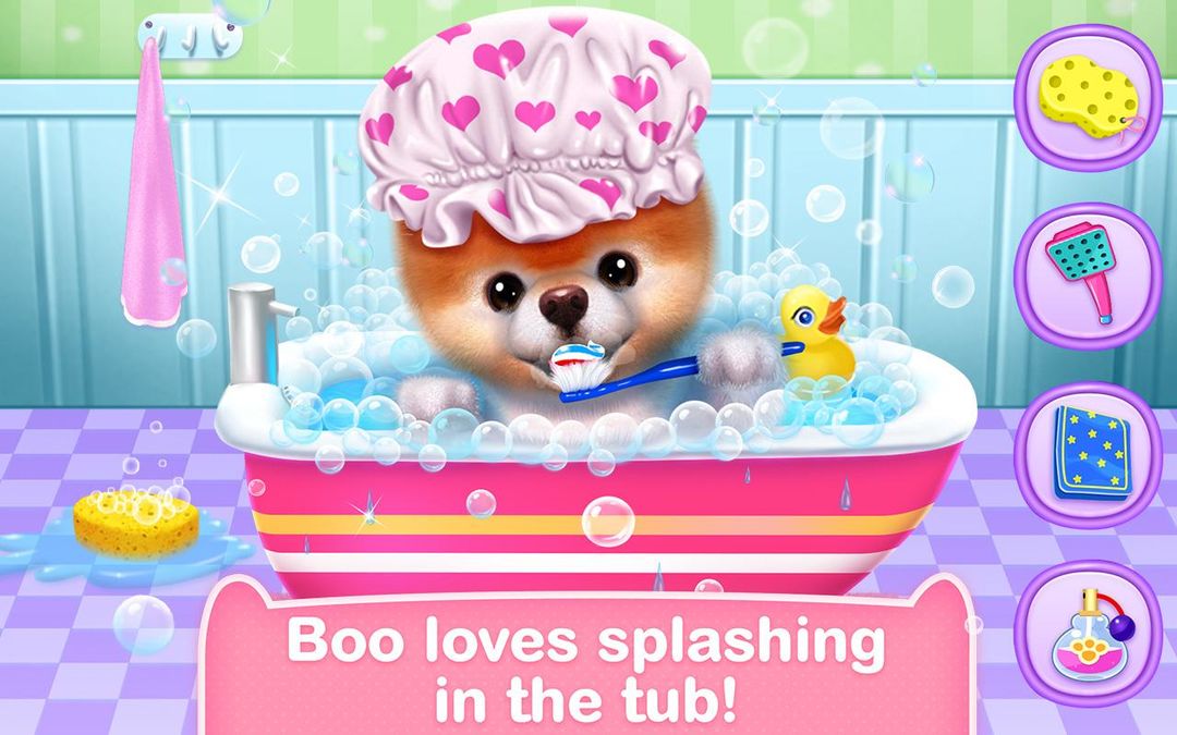 Boo - The World's Cutest Dog screenshot game
