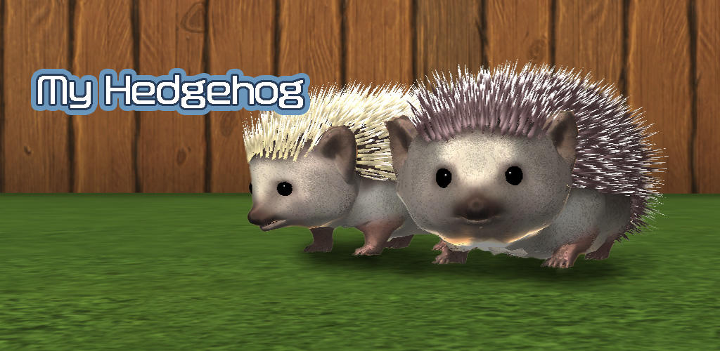 Screenshot of the video of My Hedgehog