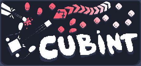 Banner of Cubint 