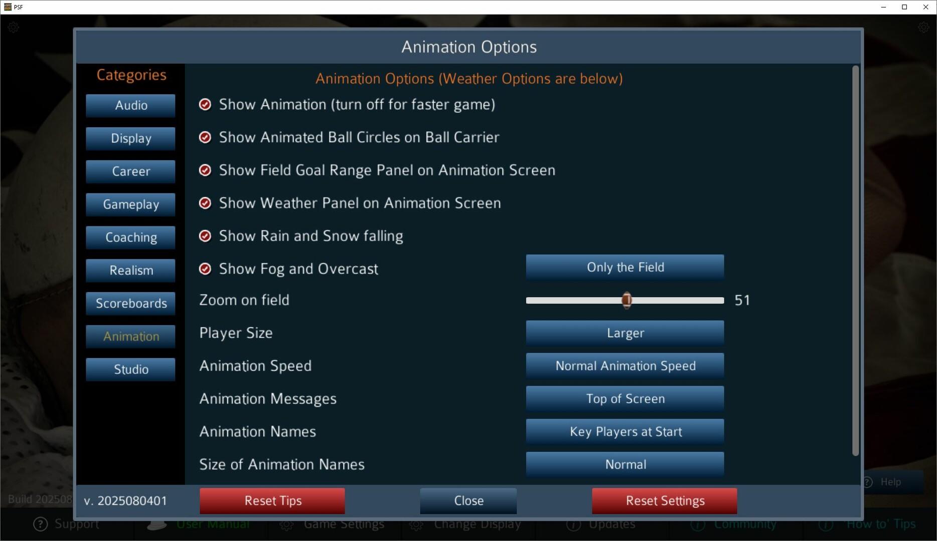 Pro Strategy Football 2025 Game Screenshot