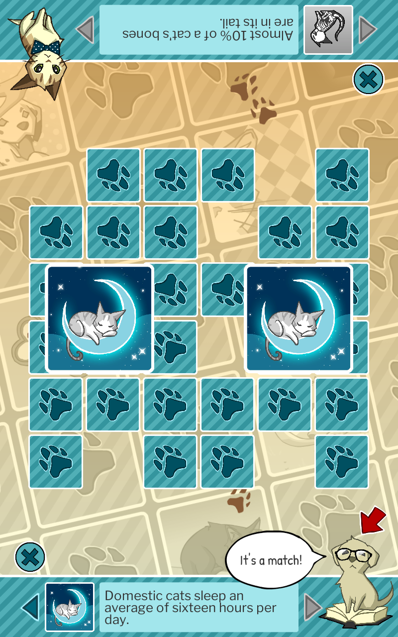 Pet MatchUp Game Screenshot