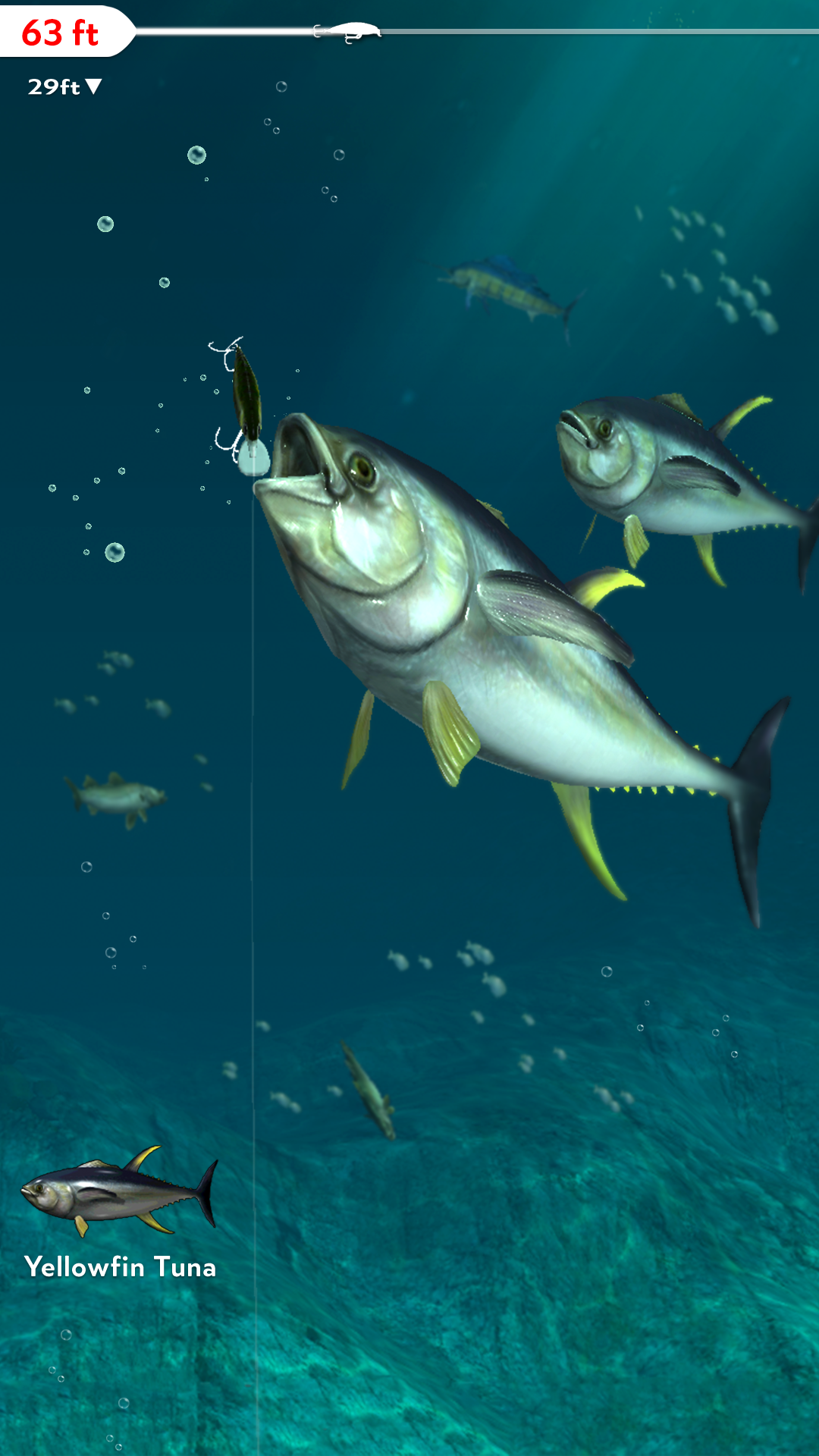 Rapala Fishing - Daily Catch Game Screenshot