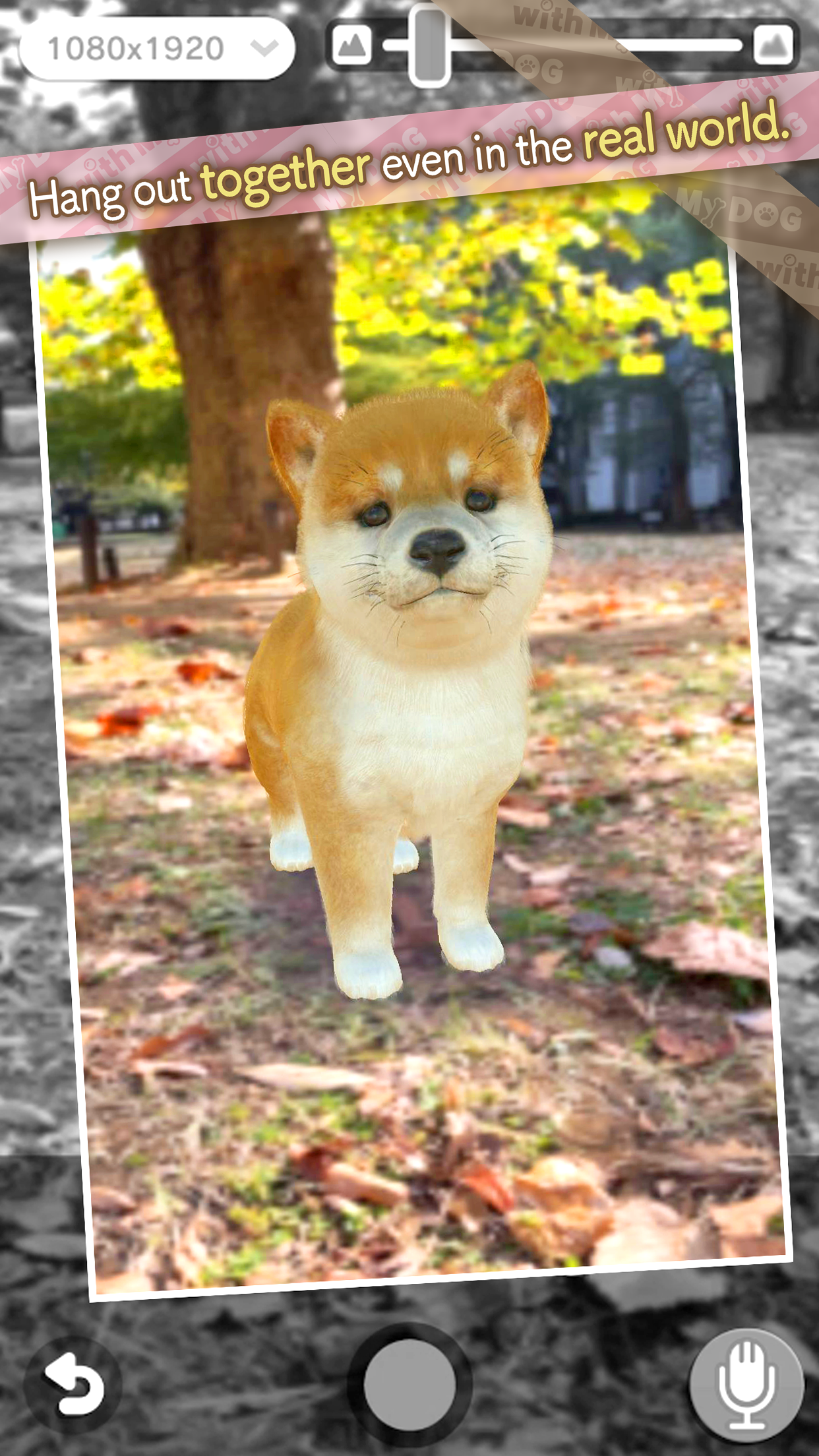 Screenshot of with My DOG