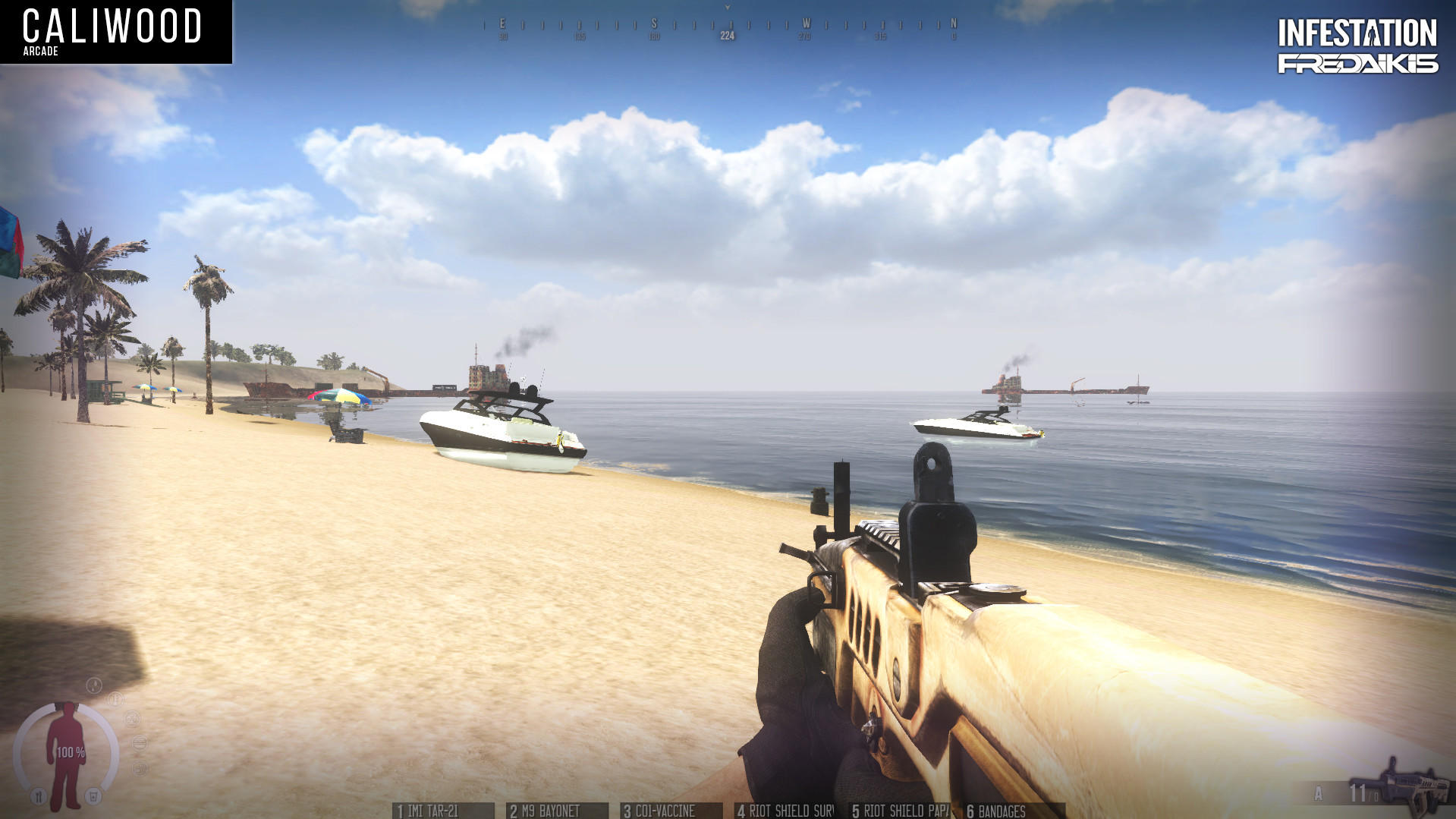 Screenshot of Infestation: The New Z