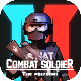 Combat Soldier - Poligon