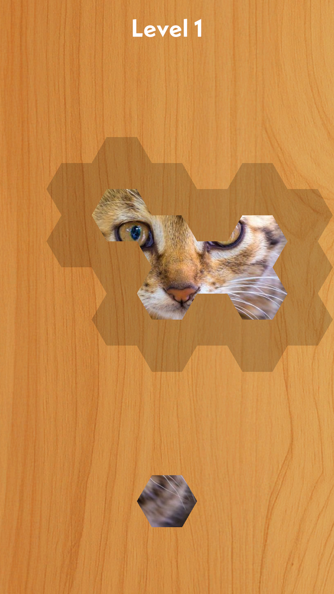 JigSnap 게임 스크린샷