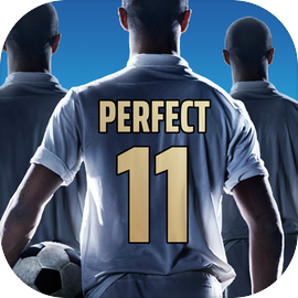 Perfect Soccer