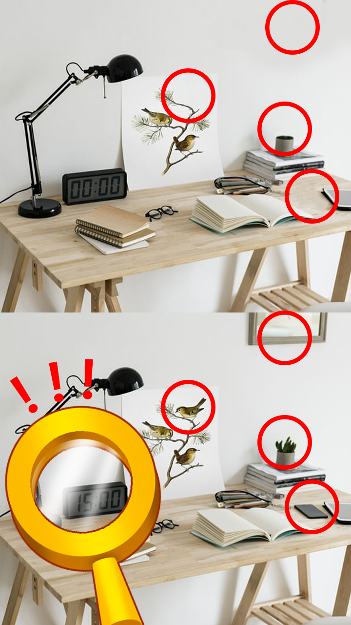 找茬高高手 Game Screenshot