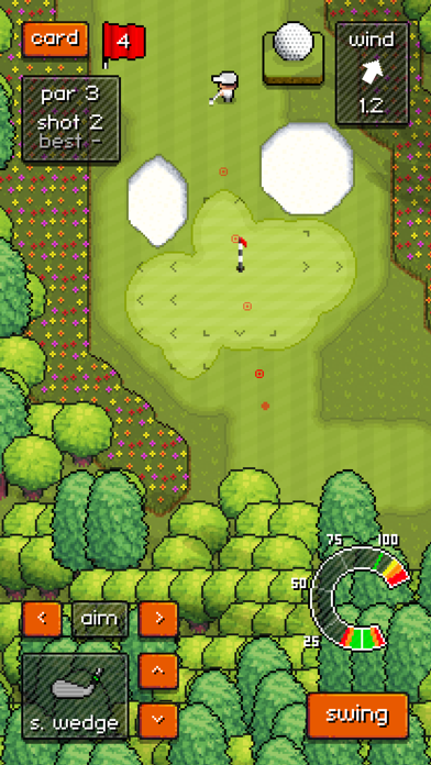 Скриншот игры Pixel Pro Golf