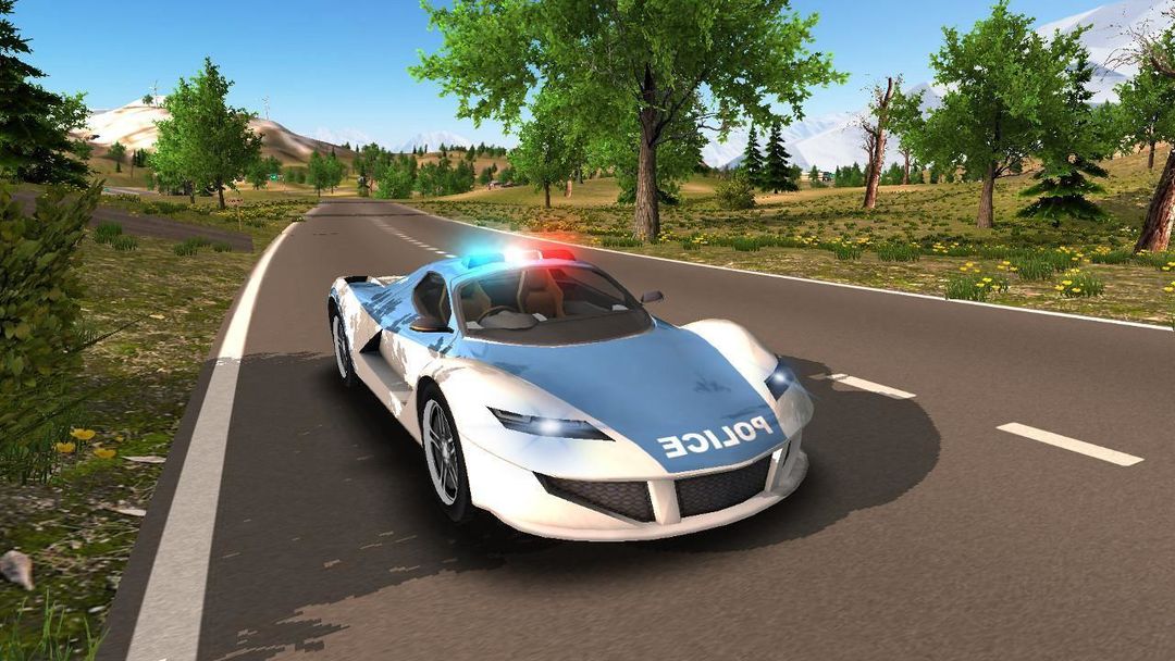 Screenshot of Police Car Offroad Driving