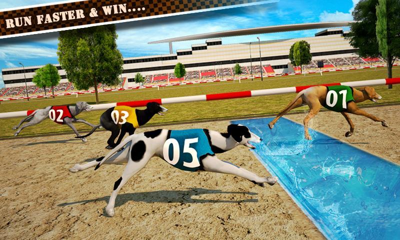 Dog Race & Stunts 2016 Game Screenshot