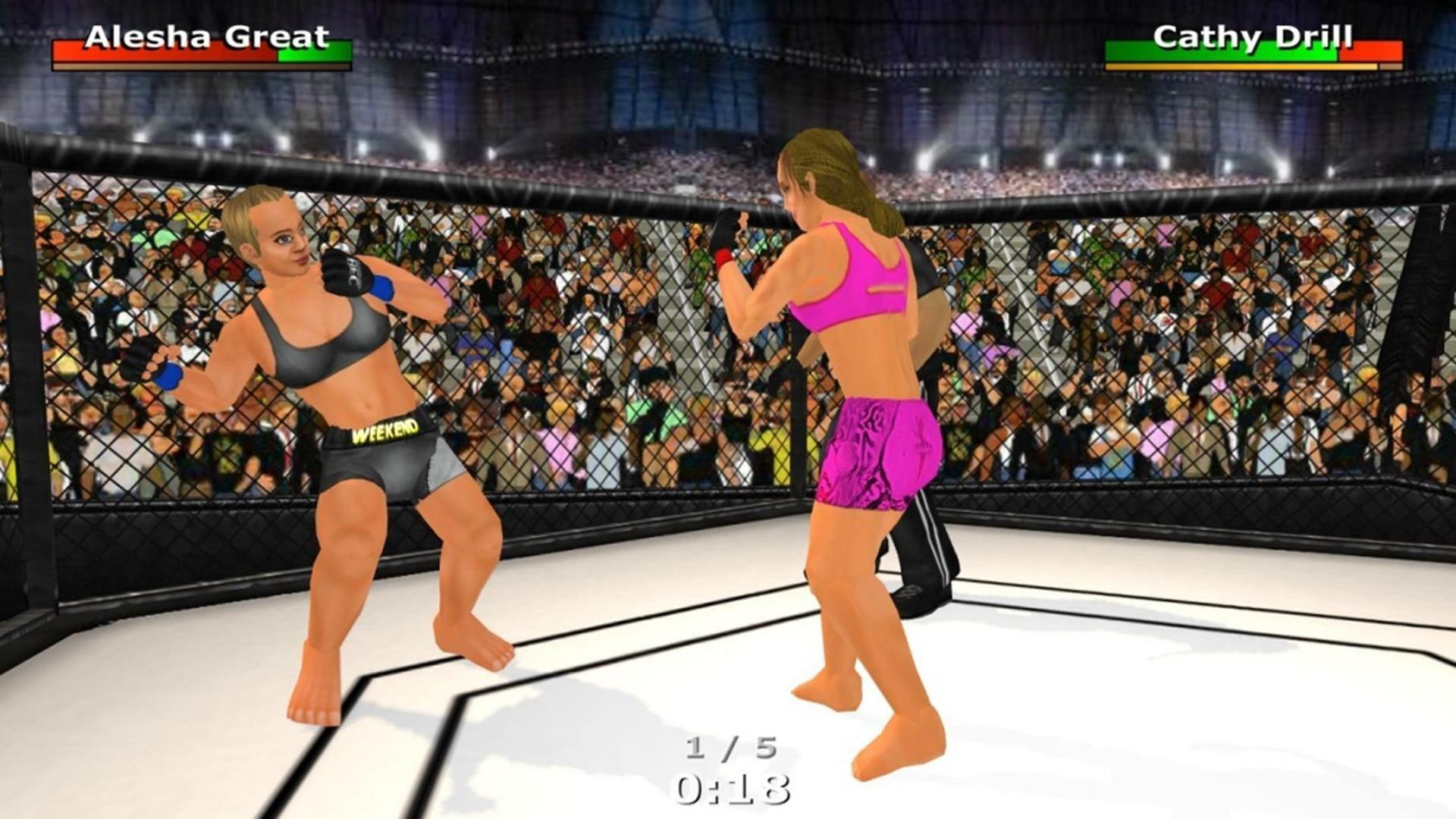 Screenshot of Weekend Warriors MMA