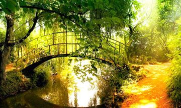 Spring Forest Escape 遊戲截圖