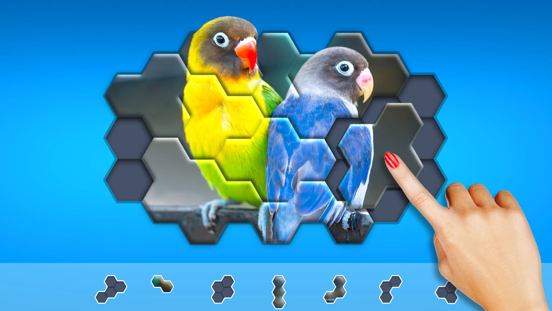 Hexa Jigsaw Puzzle ® 게임 스크린 샷