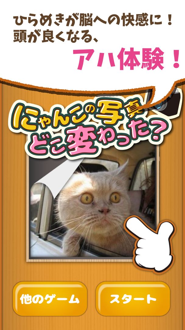 Screenshot of change cats -a-ha!experience-