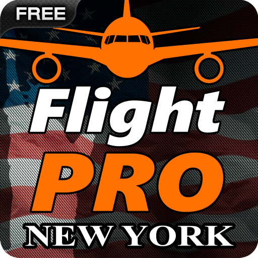 Pro Flight Simulator NY Free