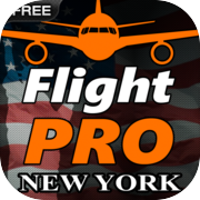 Pro Flight Simulator NY Grátis
