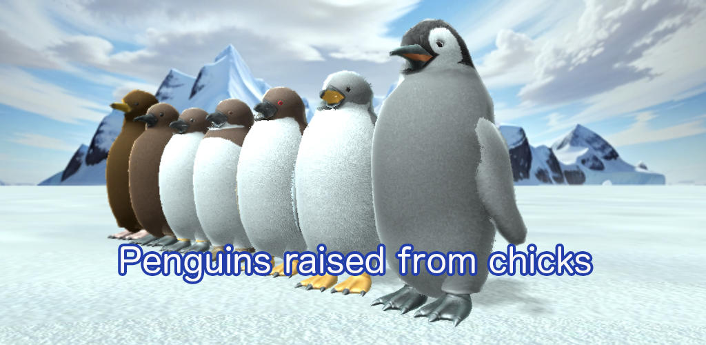 Screenshot dari video Penguins raised from chicks