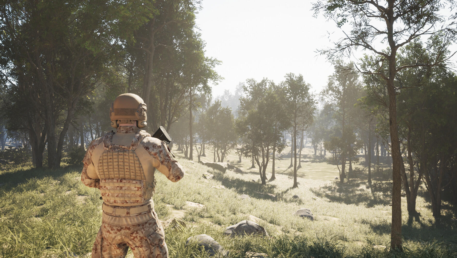 Training and War Simulation (TWS) Game Screenshot