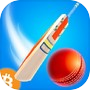 Perfect Cricket Shot Earn BTC