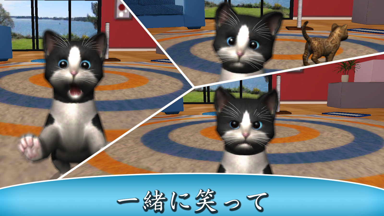 Daily Kitten : 仮想猫と子猫のペット動物 ゲームのスクリーンショット