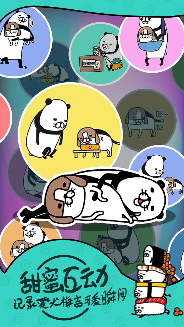 Screenshot of 熊猫和狗？狗狗什么时候都好可爱呀