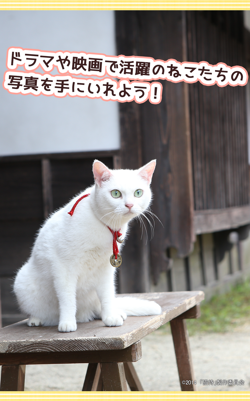 Скриншот игры 玉之丞といっしょ