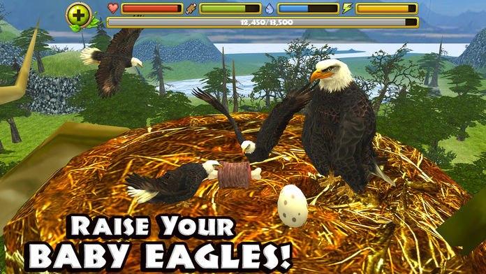 Eagle Simulator 게임 스크린 샷