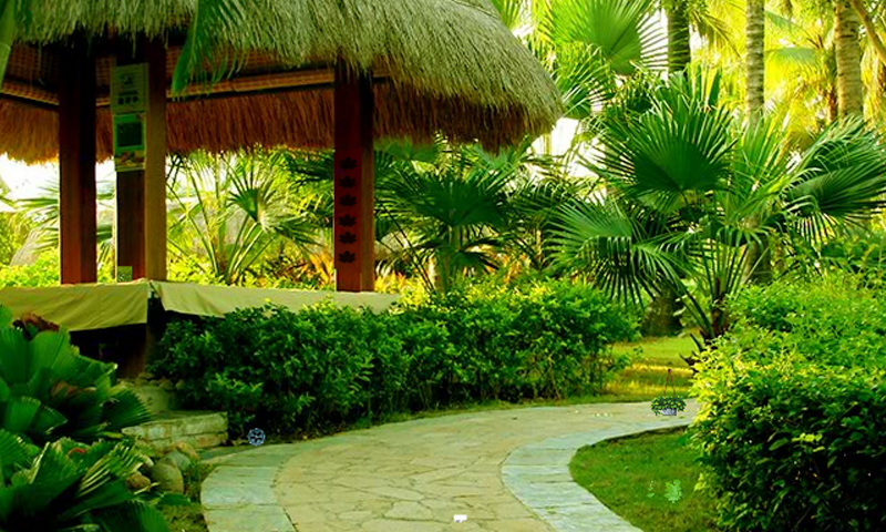 Charming Lawn Escape Game Screenshot