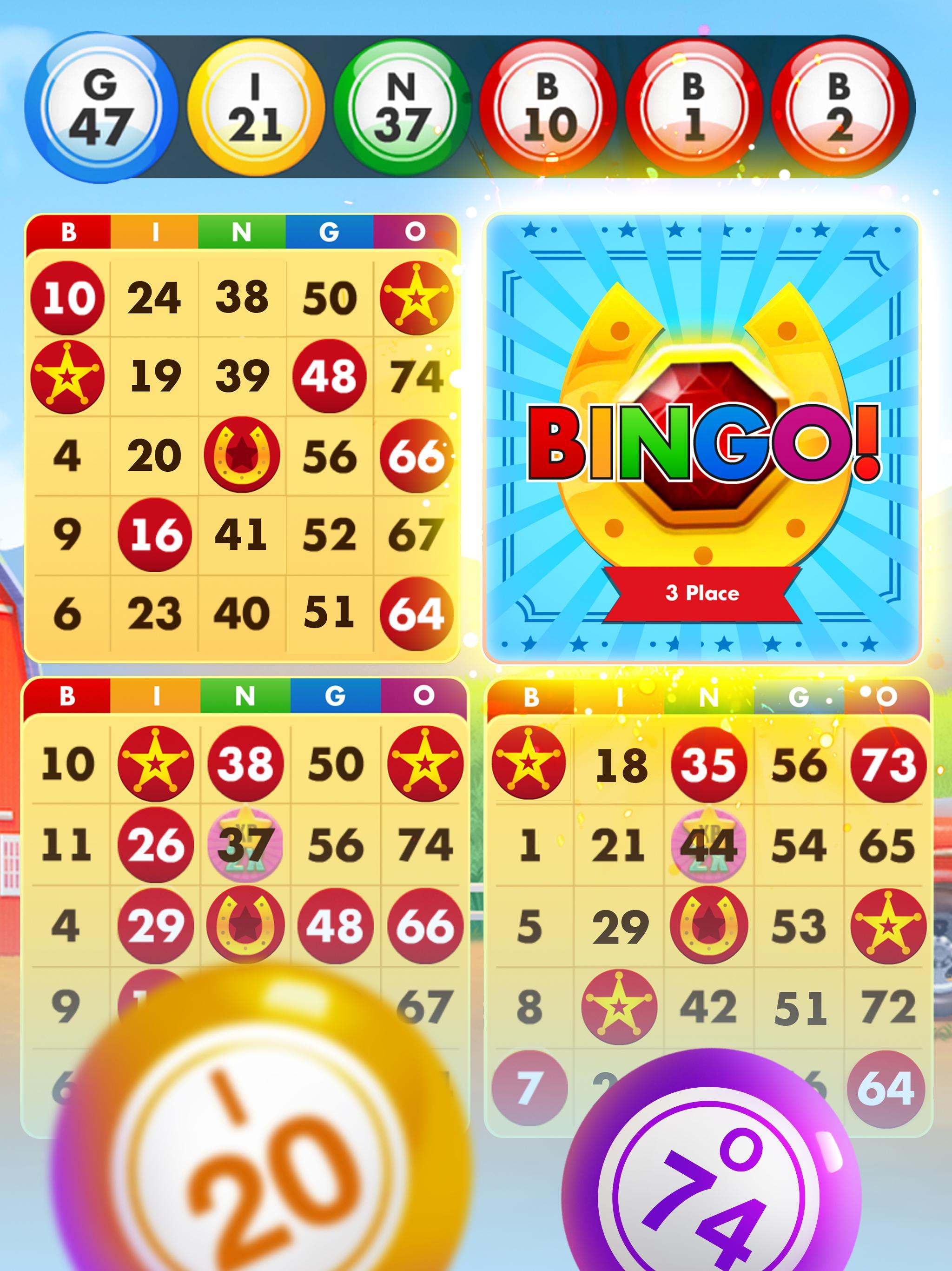 Bingo Country Boys: Tournament Game Screenshot