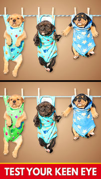 Find The Differences - Spot it Game Screenshot