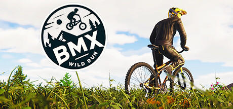 Banner of BMX Wild Run 
