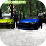 Icon of Driving Simulator BMW 3