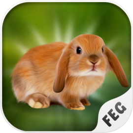 Escape Games - Rabbit River
