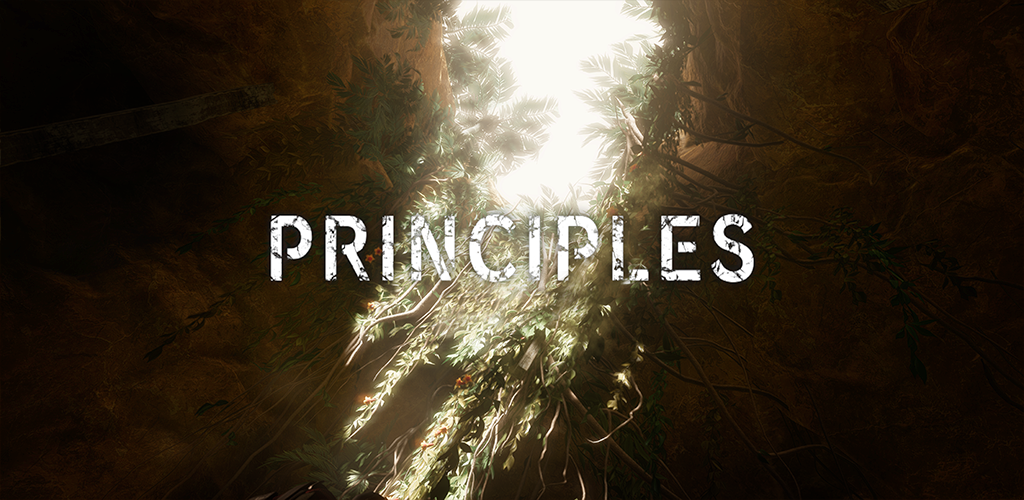 PRINCIPLES