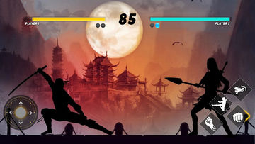 Sword Shadow Fighting Game 3D Game Screenshot