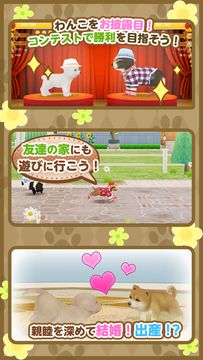 てのひらワンコ 【スマホでわんこ育成】 Game Screenshot