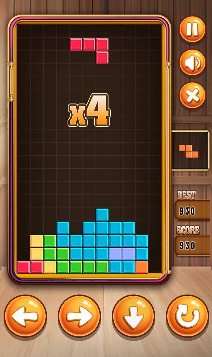Block Brick for Tetis Game Screenshot