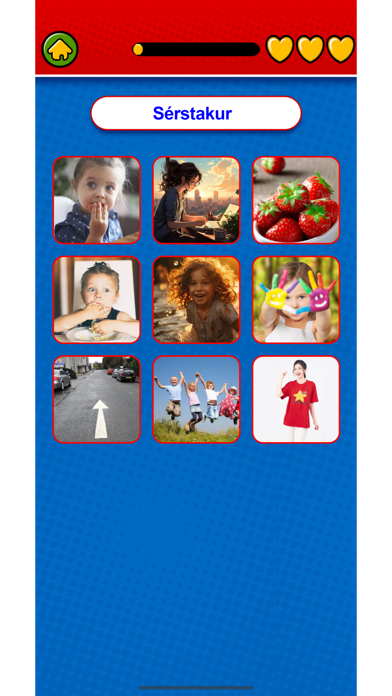 Captura de Tela do Jogo Learn Icelandic Flashcards