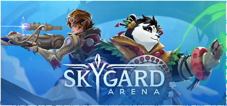 Banner of Skygard Arena 