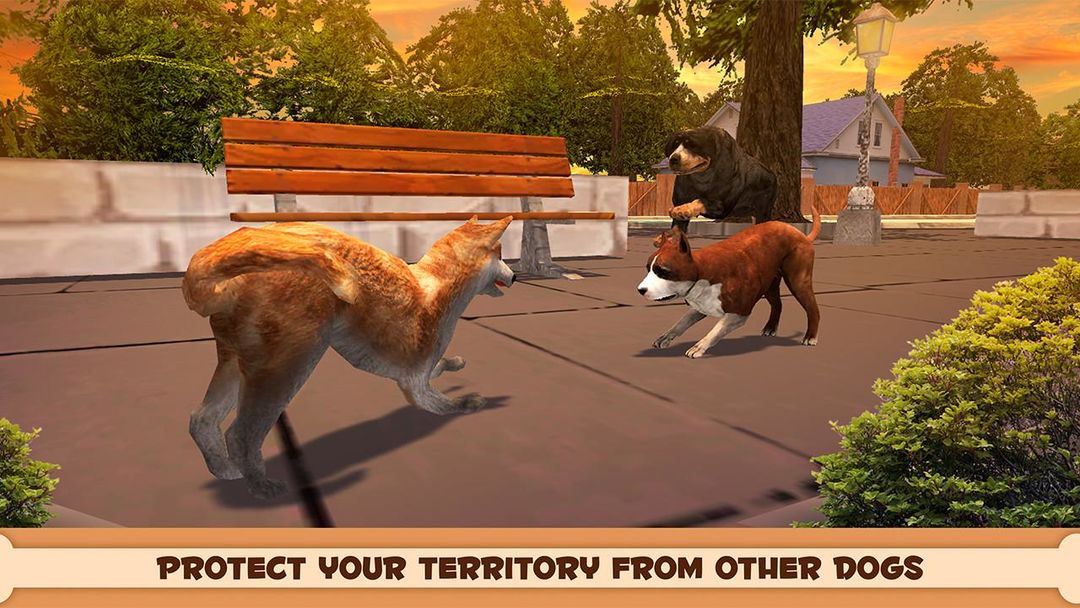 Screenshot of Play With Your Dog: Shiba Inu