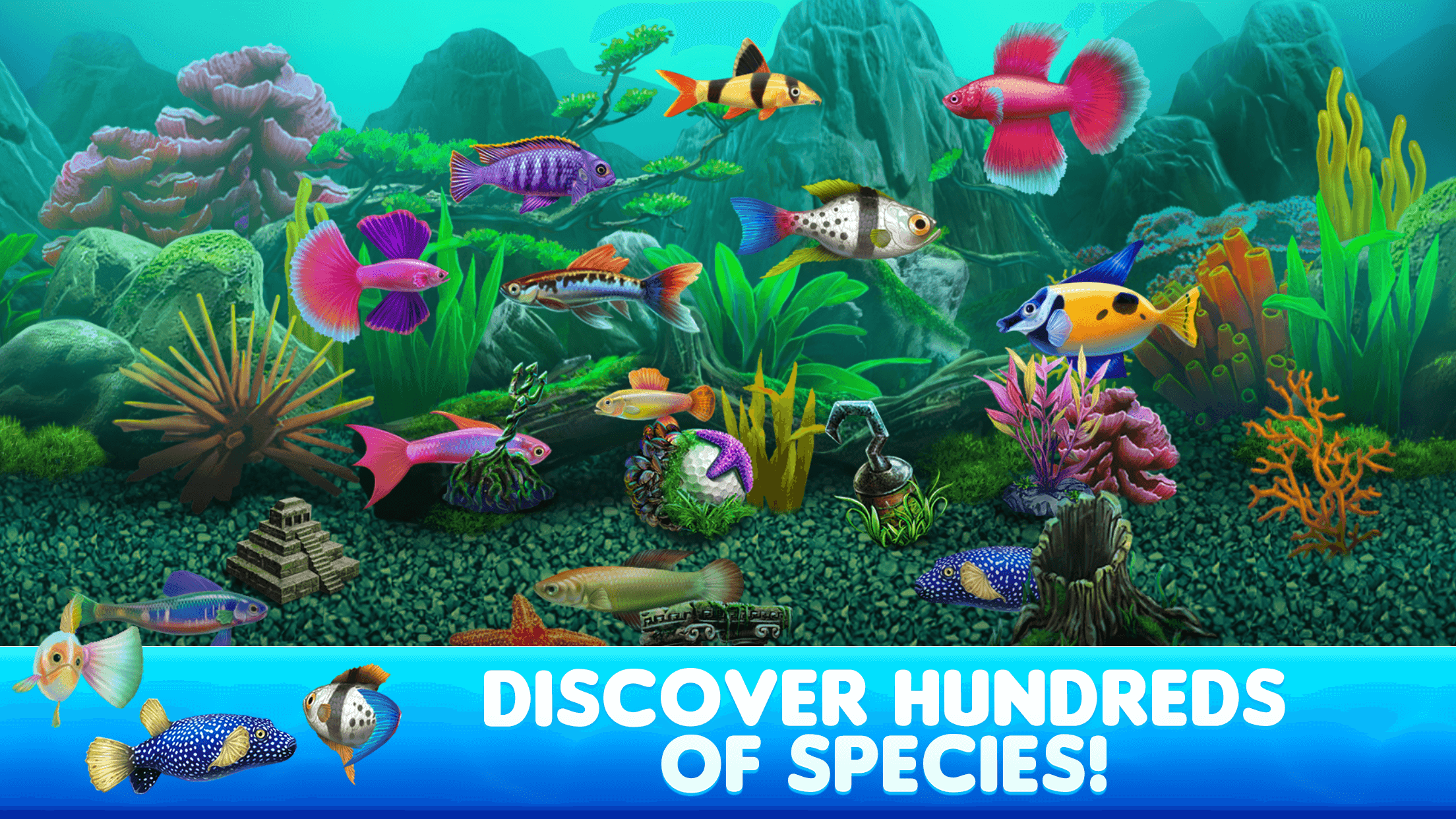 Fish Tycoon 2 Virtual Aquarium Game Screenshot
