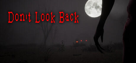 Banner of Don't Look Back 