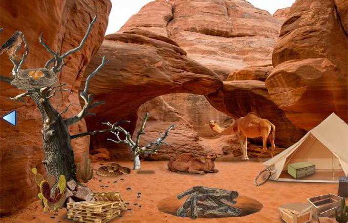 Escape Games - Canyon Treasure Game Screenshot