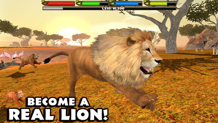 Screenshot 1 of 究極のライオンシミュレーター 