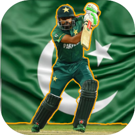 PSL 8 Pakistan Cricket game