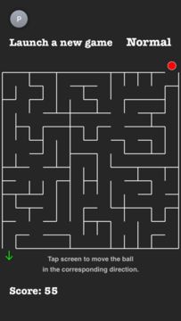 Infinity Maze Game Screenshot