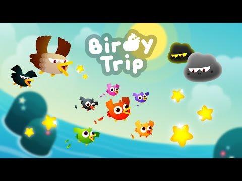 Screenshot of the video of Birdy Trip