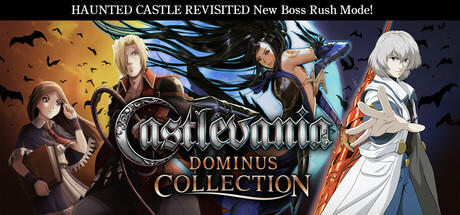 Banner of Castlevania Dominus Collection 